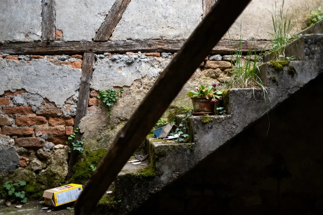 Vieille escalier en pierre, mur en briques, pot de fleurs, herbes et mousse, carton au sol.