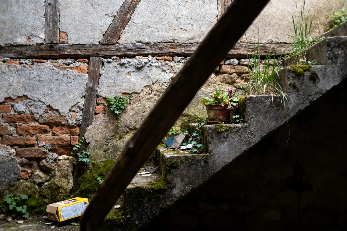 Vieille escalier en pierre, mur en briques, pot de fleurs, herbes et mousse, carton au sol.