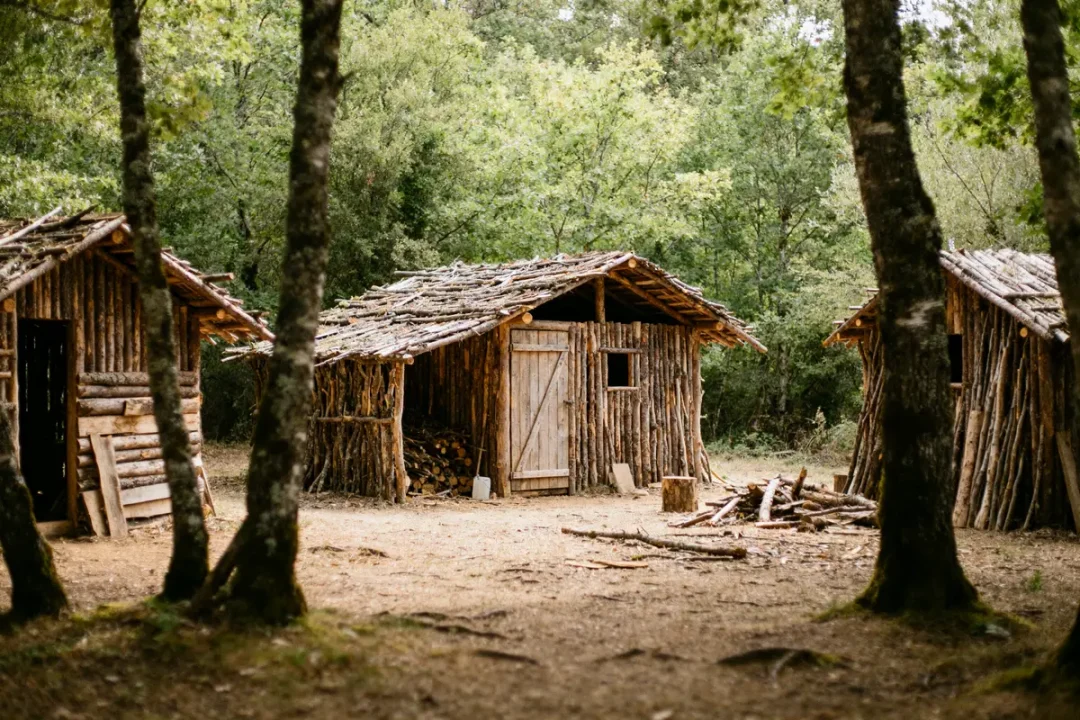 Trois cabanes en bois au milieu de la forêt construction sauvage qui paye les cabanes
