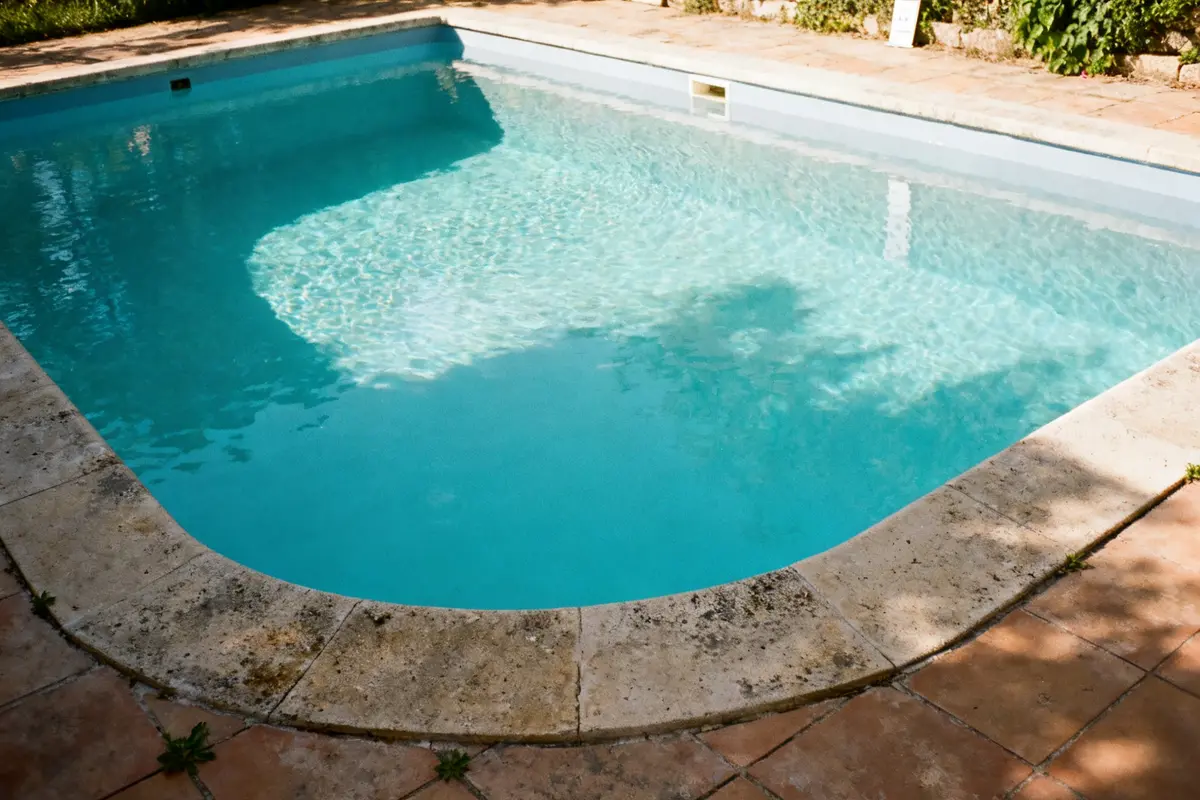 Piscine semi enterrée avec margelles en pierre et eau claire, entourée de végétation.