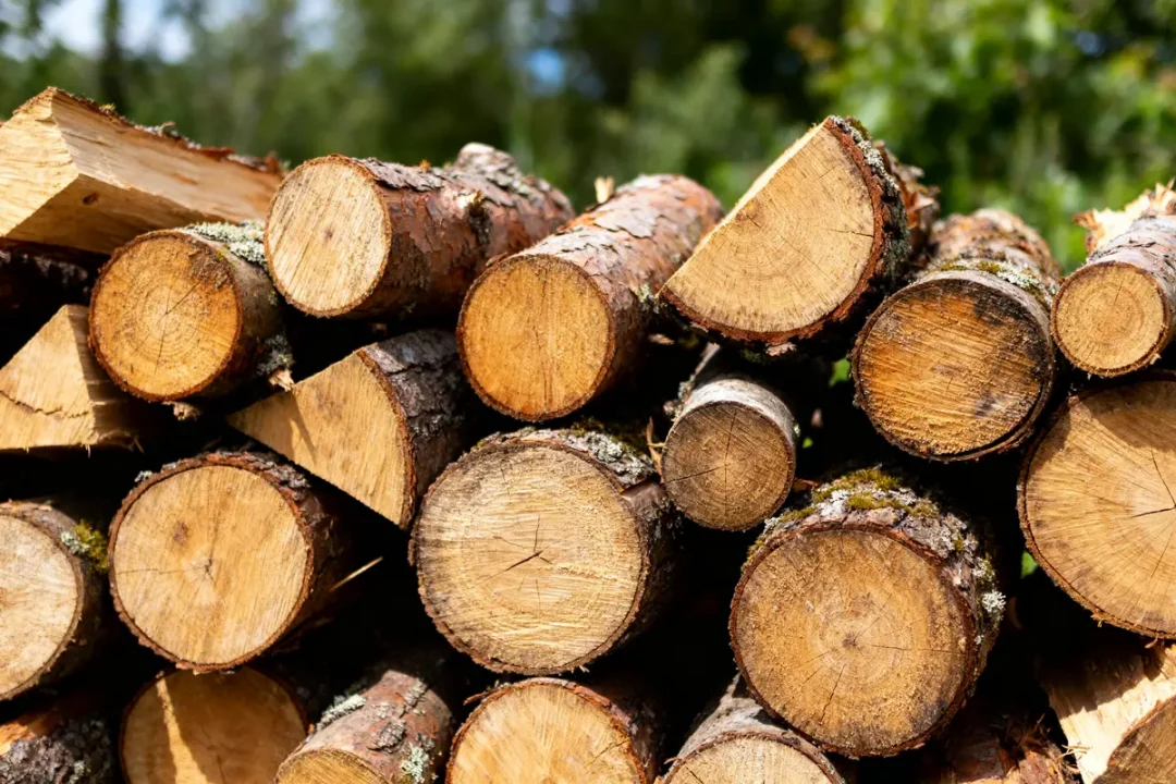Bûches empilées en extérieur, renseignant sur le stère de bois prix et disponibilité locale