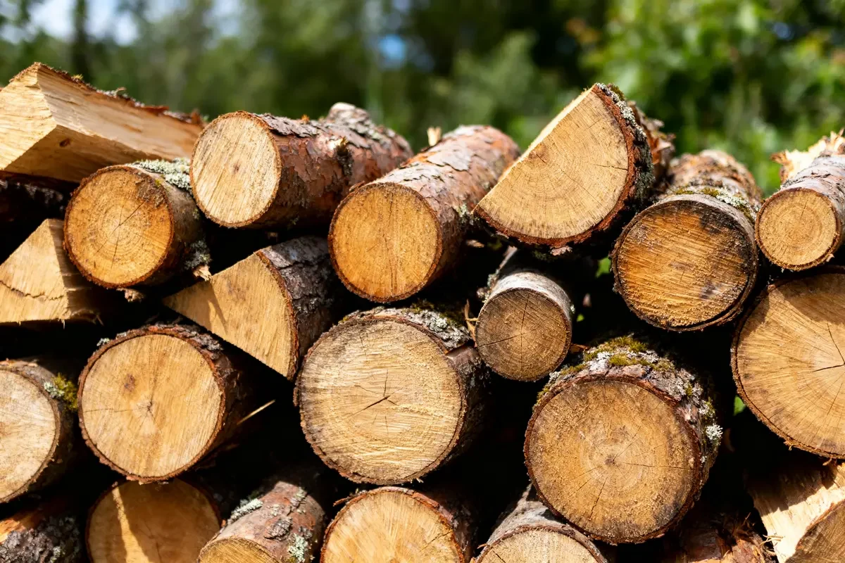 Bûches empilées en extérieur, renseignant sur le stère de bois prix et disponibilité locale