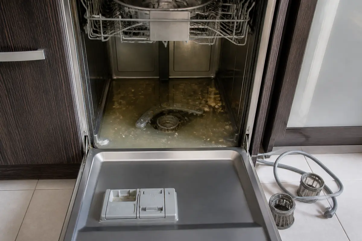 Lave-vaisselle ouvert avec de l'eau stagnante au fond, filtre et tuyaux visibles à côté.